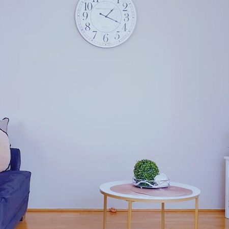 Cosmopolitan Apartament Z Bezplatnym, Prywatnym Parkingiem W Hali Garazowej Stary Toruń 外观 照片